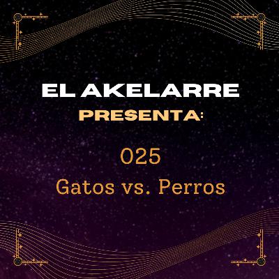 025 - Gatos vs. Perros 025 - Gatos vs. Perros
