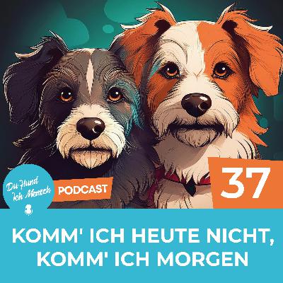37# Komm' ich heute nicht, komm' ich morgen 37# Komm' ich heute nicht, komm' ich morgen