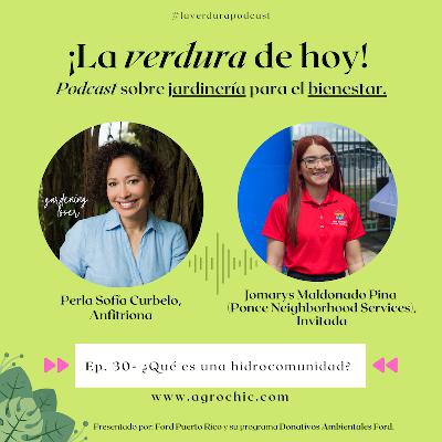 E.30- Conoce qué es una 'hidrocomunidad' y la organización que las promueve.