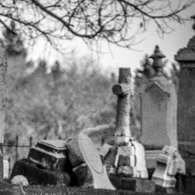 Historias Personales e Irreales Desde La Florida