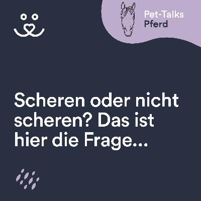 Soll ich mein Pferd scheren oder lieber nicht?