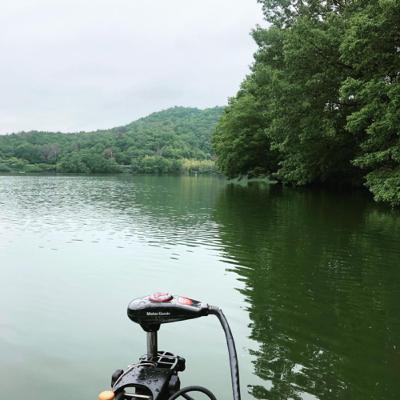 rooms radio#11 昨日観た映画の話しなど