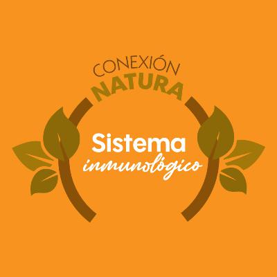 SISTEMA INMUNOLÓGICO SISTEMA INMUNOLÓGICO
