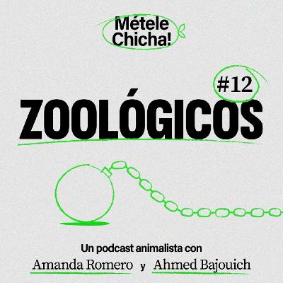 Métele chicha - Zoológicos Métele chicha - Zoológicos
