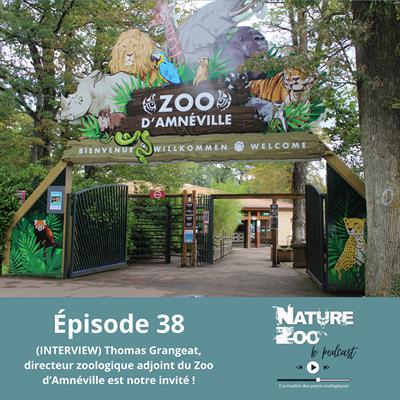 Épisode 38 (INTERVIEW) - Thomas Grangeat, directeur zoologique adjoint du Zoo d'Amnéville, est notre invité !