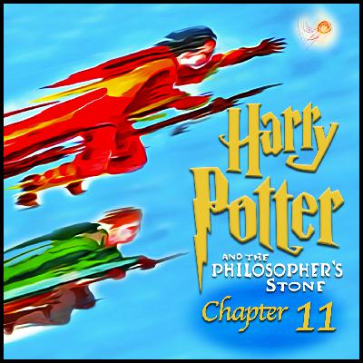 HP 11