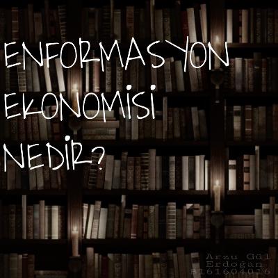 Enformasyon Ekonomisi Nedir?