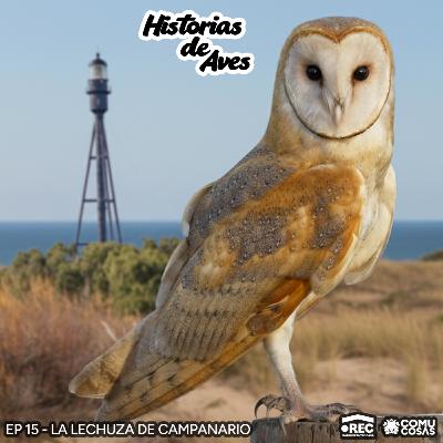 15: La Lechuza de Campanario