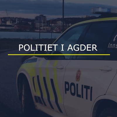 Politiet på Palmesus