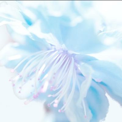 Story 2 Chapter 5* Where The Problems Begin P:2 Story 2 Chapter 5* Where The Problems Begin P:2