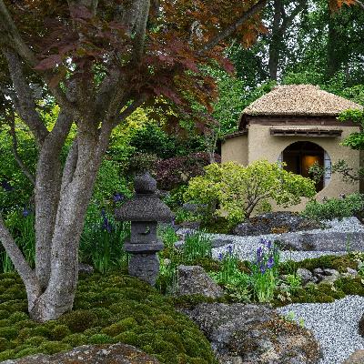 The RHS Chelsea Flower Show 2025