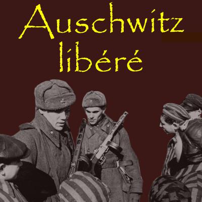 La libération d'Auschwitz : les enjeux de la mémoire du génocide juif