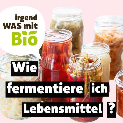 60 - Wie fermentiere ich Lebensmittel?