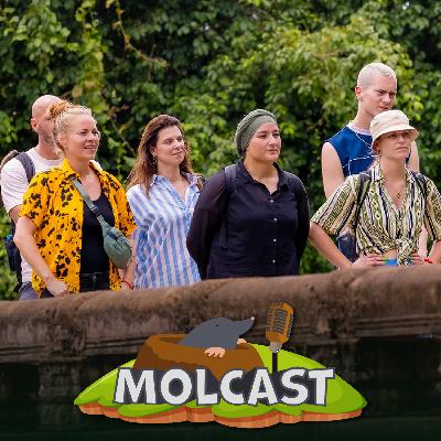 S08E04: Stond de Mol op een sleutelpositie? S08E04: Stond de Mol op een sleutelpositie?