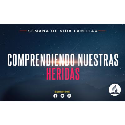 COMPRENDIENDO NUESTRAS HERIDAS - SYLVIA RIOS