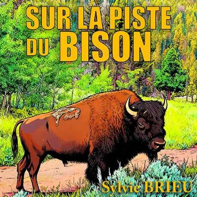 Face à face intense avec un bison