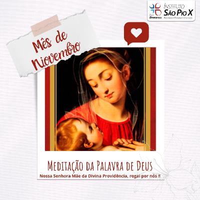 Meditação da Palavra de Deus - 01-11-2021
