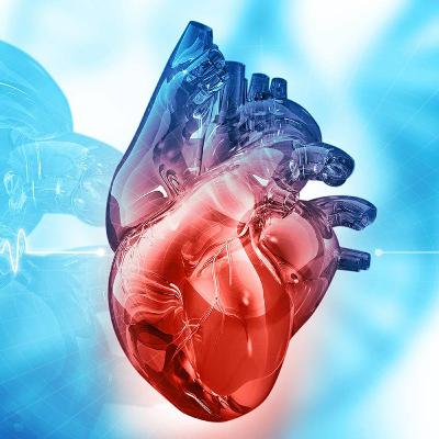 Cuore in Medicina, Storia e Cultura Cuore in Medicina, Storia e Cultura