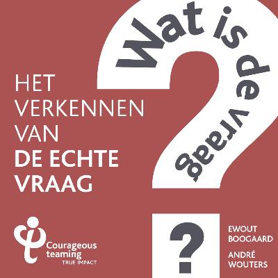 Wat is de vraag?