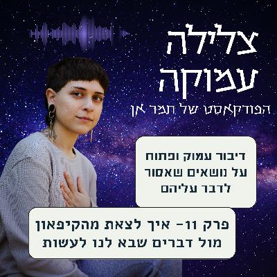 פרק 11- מה לעשות כשחשק ליצור פוגש דיכאון