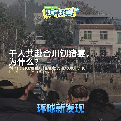 千人共赴合川刨猪宴,为什么?-2026/01 第三周 千人共赴合川刨猪宴,为什么?-2026/01 第三周