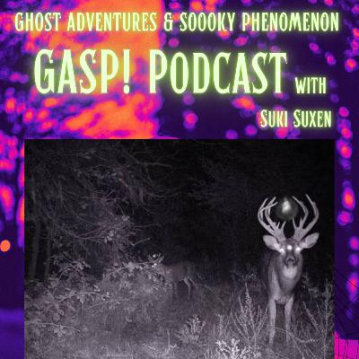S3E26 • Notoriously Not Deer II The Encounters...