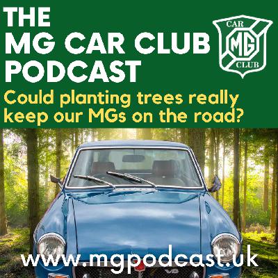 Episode 73: Could planting trees really keep our MGs on the road?