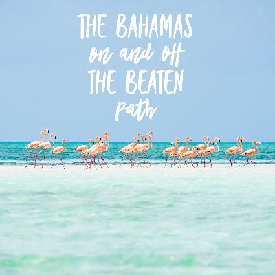 THE BAHAMAS: Our Favorite Islands ON and OFF the Beaten Path