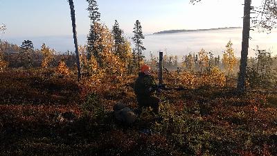 019. Älghundar och Jägarexamen med Krister Berggren