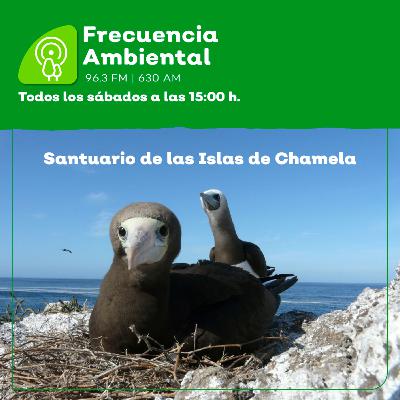 Episodio 199. Santuario de las Islas de Chamela