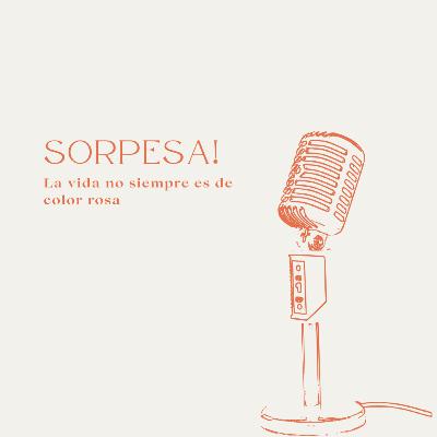 Ep 16: Sorpresa! La vida no siempre es de color rosa. Ep 16: Sorpresa! La vida no siempre es de color rosa.