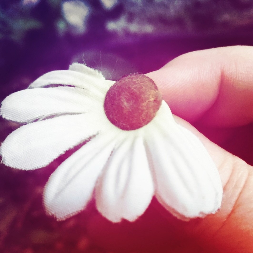 Cleidinhas