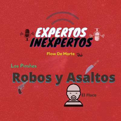 Ep. 2 Robos y asaltos