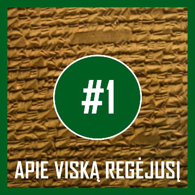AUDIOKNYGOS | „Apie viską regėjusį“ #1 skaito Ligita Kondrotaitė