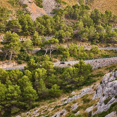 Caminantes - Serra de Tramuntana con Tròfol Castanyer - 28/12/24 Caminantes - Serra de Tramuntana con Tròfol Castanyer - 28/12/24