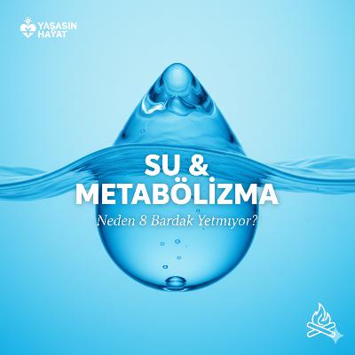 Su ve Metabolizma: Neden Günde 8 Bardak Yetmiyor? Su ve Metabolizma: Neden Günde 8 Bardak Yetmiyor?