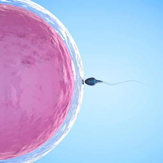 Infertilidad en la Seguridad Social española