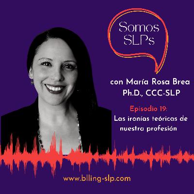 Las ironías teóricas de nuestra profesión