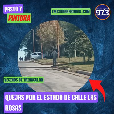 Vecinos se quejan por el estado de calle Las Rosas Vecinos se quejan por el estado de calle Las Rosas