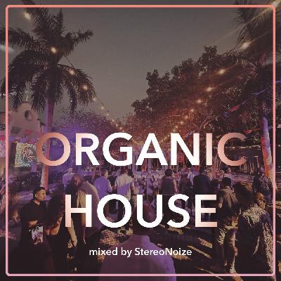 Episode 2: Organic House 2023-11
