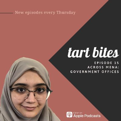 Across MENA: Government Offices