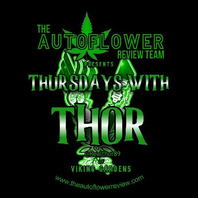 TAFR Presents: Thursdays With Thor - Ep. #16 "Cannabis Testing and Percentages" Part 1