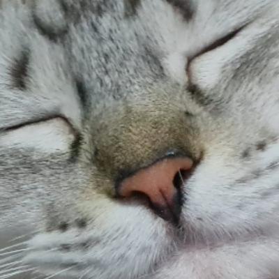 uiuiui tava tristinha e chorei UwU