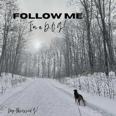 34. The 5 Stages of Grief: Let's Talk About Them - Episode 2 in this Series on Grief 34. The 5 Stages of Grief: Let's Talk About Them - Episode 2 in this Series on Grief