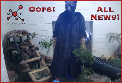 Oops! All News Oops! All News