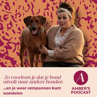 Zo voorkom je dat je hond uitvalt naar andere honden ...en je weer ontspannen kunt wandelen #159 Zo voorkom je dat je hond uitvalt naar andere honden ...en je weer ontspannen kunt wandelen #159
