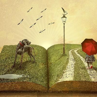 ‘O livro deveria estar na cesta básica’