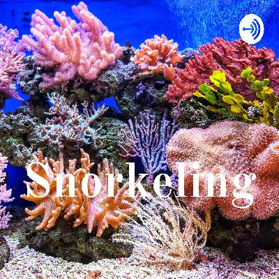 Snorkeling