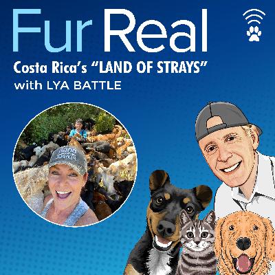 Costa Rica's "LAND OF STRAYS" with Lya Battle