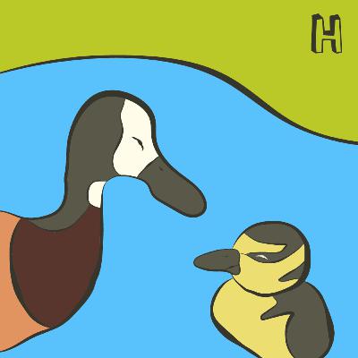 #6 - O Patinho Irerê não é um Patinho Feio